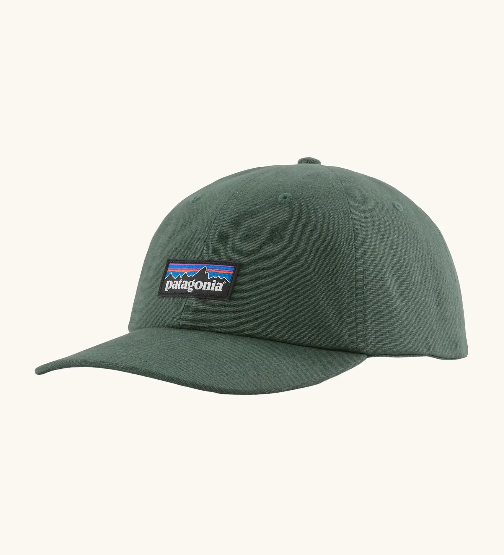 Patagonia adult P-6 label trad cap in canopy green.