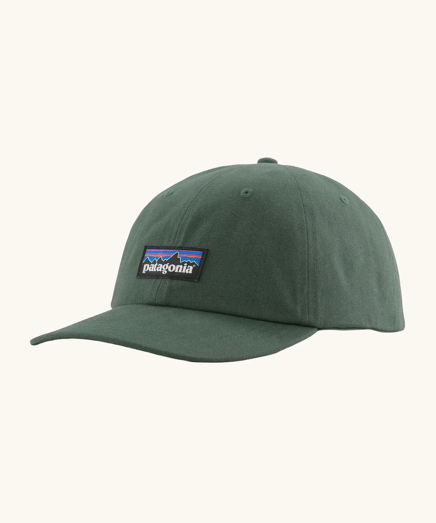 Patagonia adult P-6 label trad cap in canopy green.