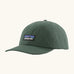 Patagonia adult P-6 label trad cap in canopy green.