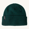 Patagonia adult brodeo beanie hat on cascade green. A soft knit style beanie with turn up brim and logo patch on the side