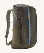 Patagonia 25L black hole backpack in a basin green colour on a cream backgrobund.