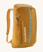 Patagonia 25L black hole backpack in a beeswax tan colour on a cream background.