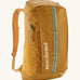 Patagonia 25L black hole backpack in a beeswax tan colour on a cream background.