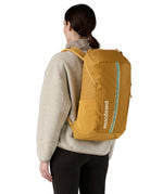 Patagonia 25L black hole backpack in a beeswax tan colour worn by an adult