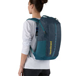 Patagonia 25L black hole backpack in a tidal teal colour worn by an adult 