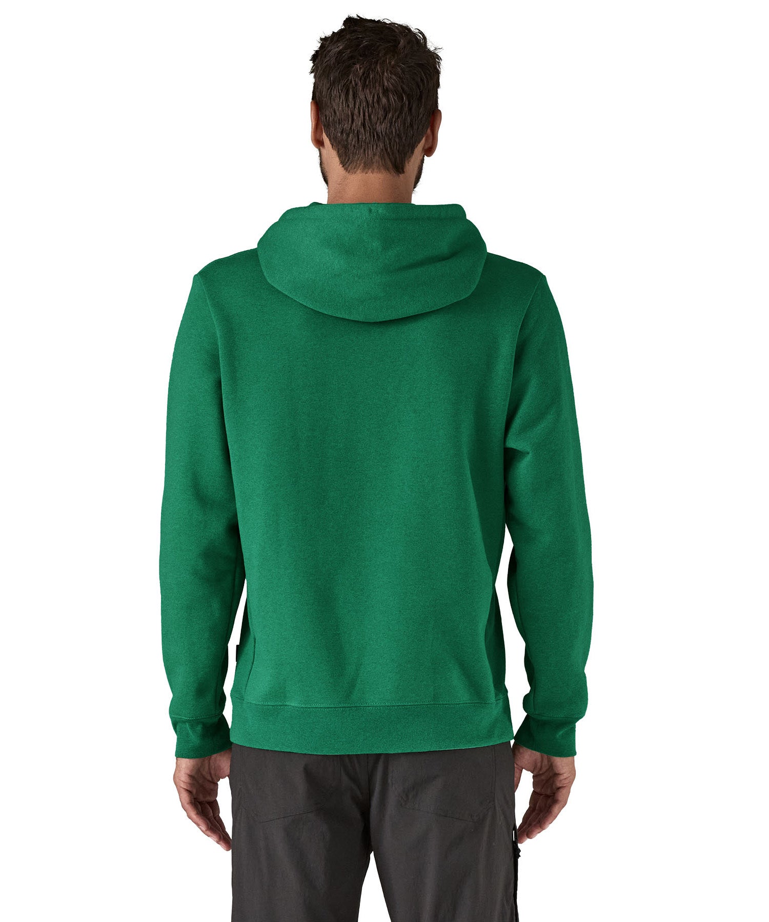 Patagonia adult hoodie in a green colour with the logo on the front worn by a man back detail