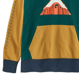 close up of Patagonia Kids Hoody Sweatshirt - Driftways: Cascade Green