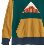 close up of Patagonia Kids Hoody Sweatshirt - Driftways: Cascade Green