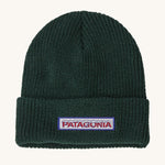 Patagonia Kids Logo Beanie in a Conifer Green colour on a plain background. 