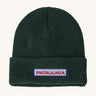 Patagonia Kids Logo Beanie in a Conifer Green colour on a plain background. 