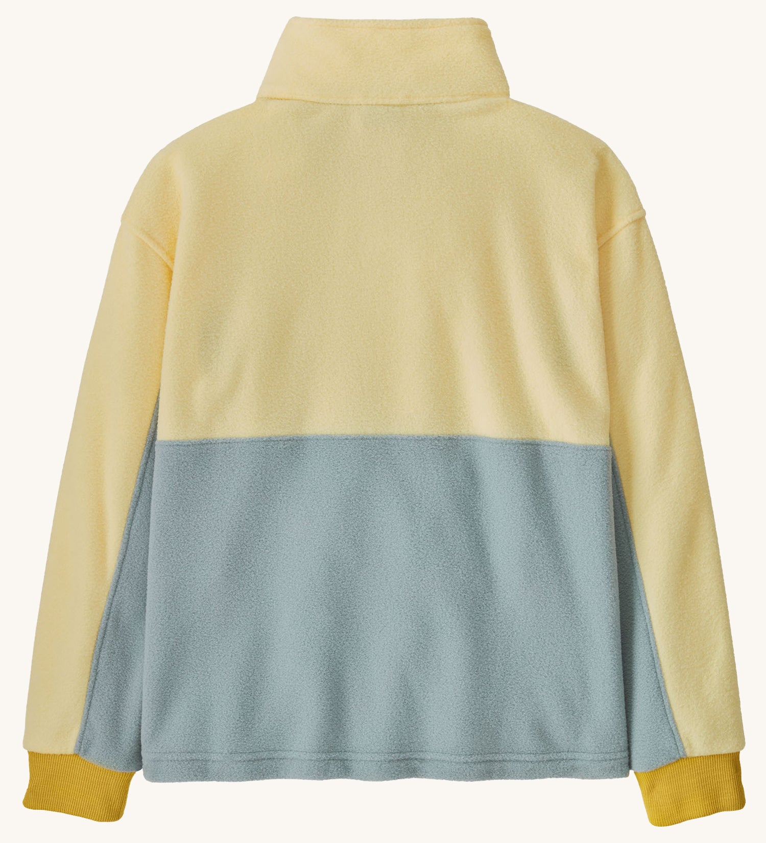 The back of the Patagonia Kids Microdini 1/2 Zip Fleece Pullover Top in Thermal Blue