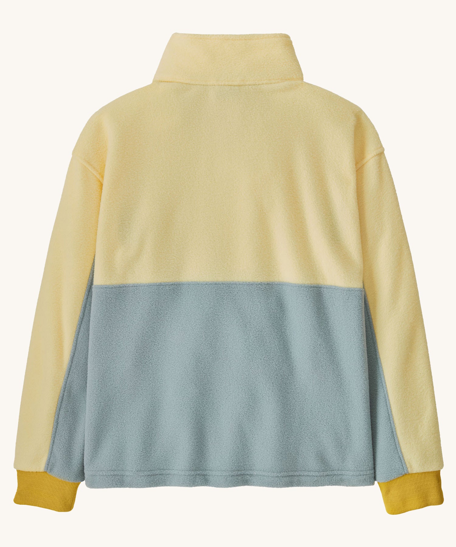 The back of the Patagonia Kids Microdini 1/2 Zip Fleece Pullover Top in Thermal Blue