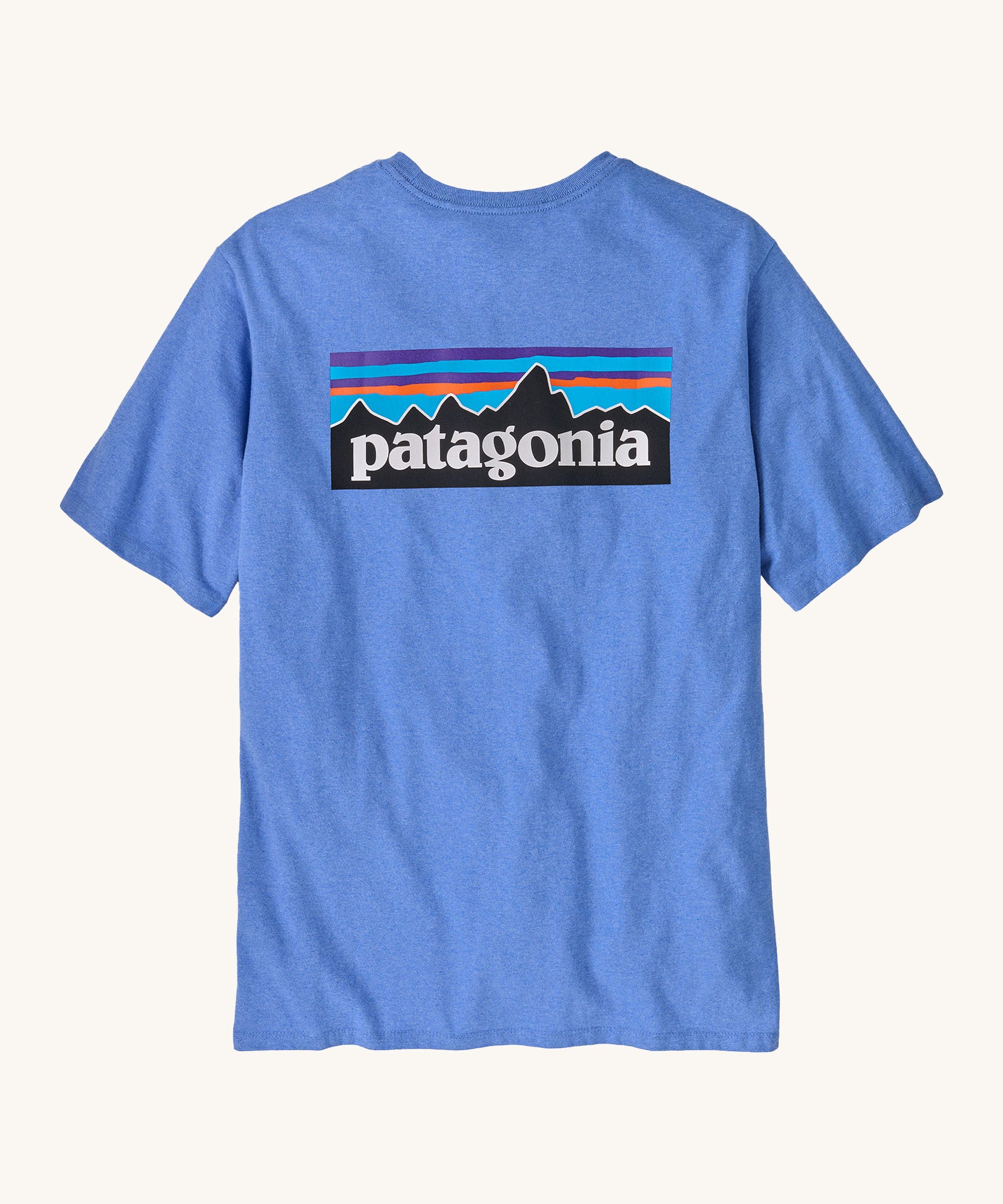 Patagonia men's short sleeve top in light blue back logo detail