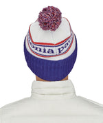 Back view of the Patagonia park stripe viking blue beanie. Showing the pom pom detail and turn up ribbed brim