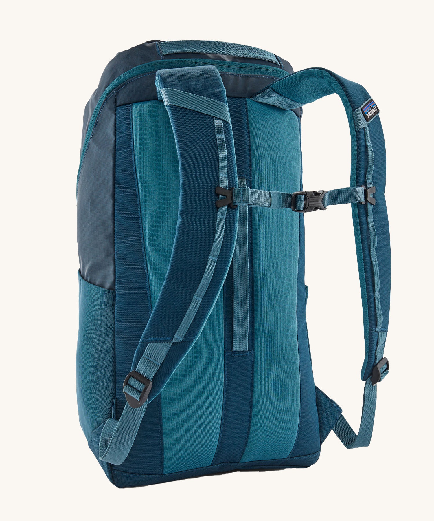 Patagonia 25L black hole backpack in a tidal teal colour back detail