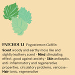 Infographic showing the main benefits of Patchouli essential oil.