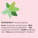 Infographic showing the main benefits of Peppermint essential oil.