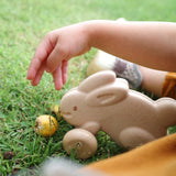 Close up of a childs hand above the Plan Toys plastic free wooden push along bunny on some green grass