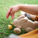 Close up of a childs hand above the Plan Toys plastic free wooden push along bunny on some green grass