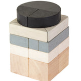 Plan Toys Fractions Blocks on a plain background.