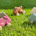 Plan toys eco-friendly wooden rolling bunny toys laid out in a circle on some bright green grass