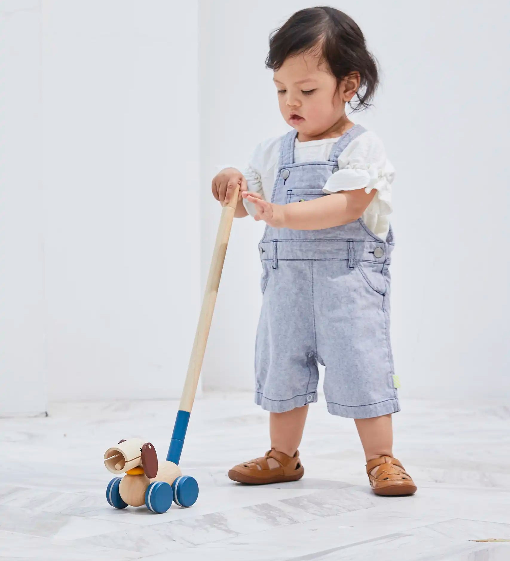Child pushing along the PlanToys push and pull puppy wooden toy with the screw in stick attached. 