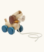 PlanToys push and pull puppy wooden toy. The head is seen blurred in motion.