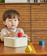 PlanToys shape and sort it out bin wooden shape sorter toy. Child placing the red cylinder block into the slot in the lid. 