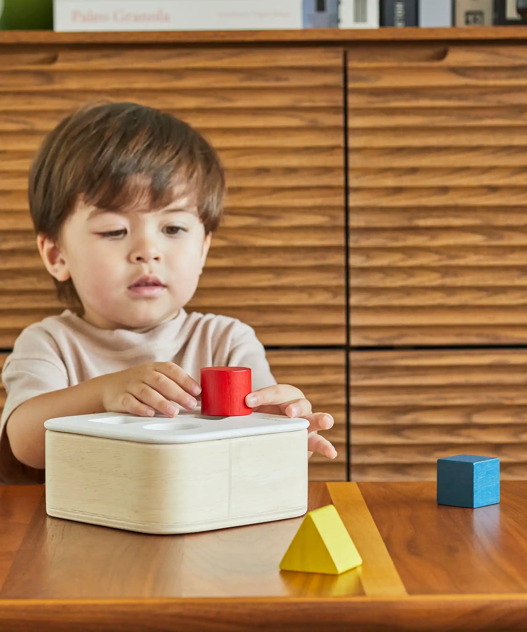 PlanToys shape and sort it out bin wooden shape sorter toy. Child placing the red cylinder block into the slot in the lid. 