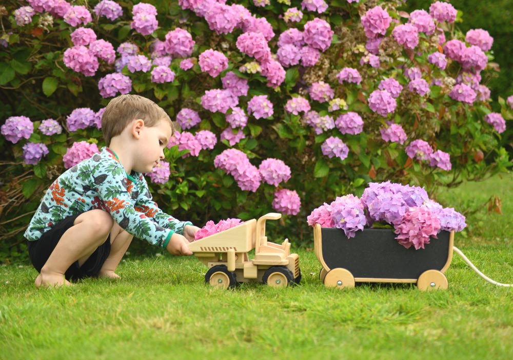 Plan toys wagon black outlet