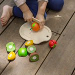 The PlanToys Assorted Fruit Set