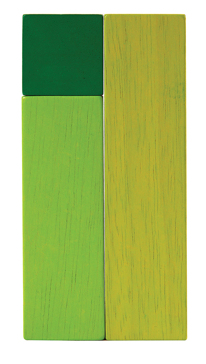 The Plan Toys Ordering Blocks on a plain background. 