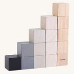 PlanToys 15 Cubes on a plain background, the cubes are shown out of their packaging. 