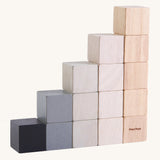 PlanToys 15 Cubes on a plain background, the cubes are shown out of their packaging. 