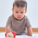A baby crawling towards the Plan Toys Bird Roller - a rocking baby toy made from rubberwood.