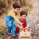 Wagon noir de PlanToys