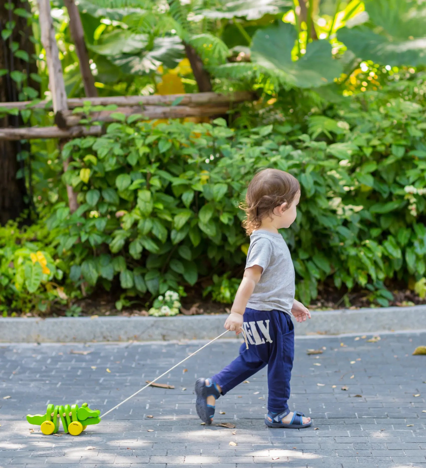 Toddler pulling the Plan Toys Dancing Alligator wooden pull along toy along an outdoor garden path