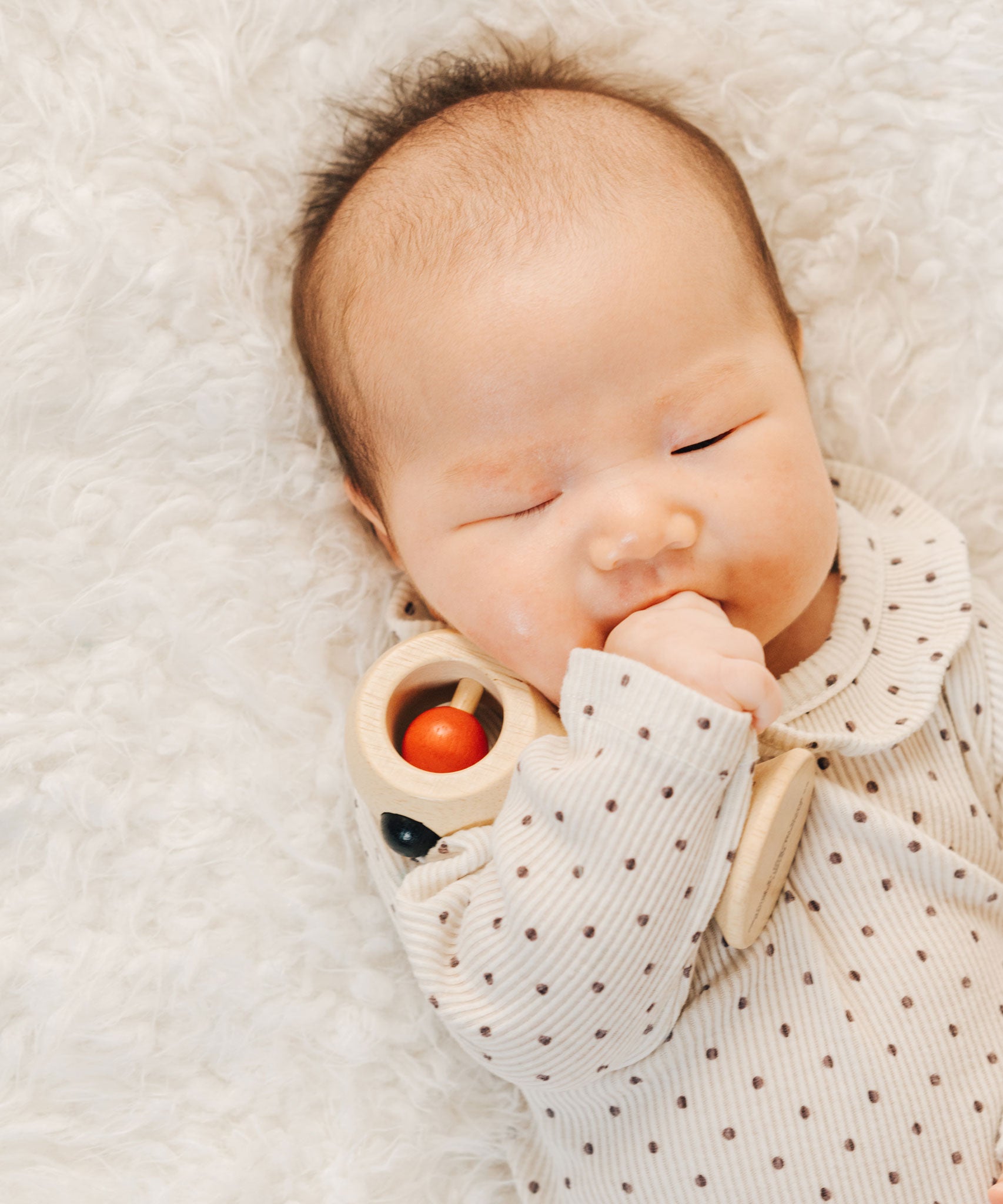 A baby holding the PlanToys Shaking Rattle in a High Contrast colourway under their arm. The red and black details stand out against the natural rubberwood body. PlanToys range of toys are made from sustainably sourced rubberwood, we're proud stockists of PlanToys here at Babipur. 