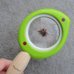A Plan Toys Leaf Magnifier being held above a bee for viewing. 
