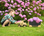 A child playing with the  Plan Toys Special Edition Natural Dump Truck and wooden pull along wagon outdoors on grass. There are purple hydrangeas behind them 
