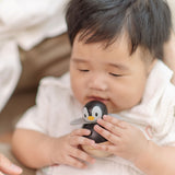 A baby holding the PlanToys Penguin Wobbler wooden baby toy. A circular shaped penguin toy that wobbles when placed on a flat surface. PlanToys range of toys are made from sustainably sourced rubberwood, we're proud stockists of PlanToys here at Babipur. 