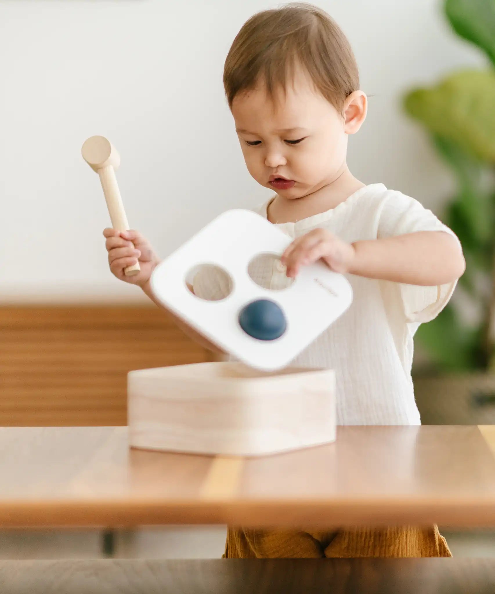 Child lifting the lid off the PlanToys punch and drop bin wooden pounding toy.