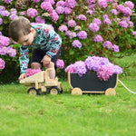 A child playing with the  Plan Toys Special Edition Natural Dump Truck and PlanToys pull along wagon outdoors on grass. There are purple hydrangeas behind them. The child has filled the wagon with hydrangeas and placed hydrangea petals in the back of the dumper truck. 