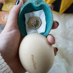 A blue coloured PlanToys surprise egg with a one pound coin placed inside. 