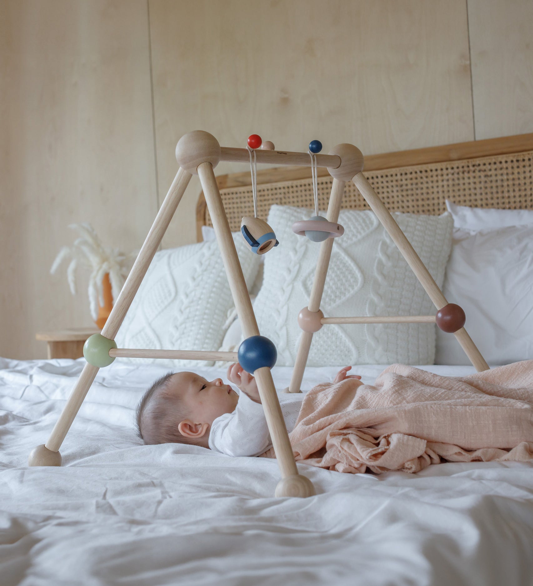 Jouet Montessori à Pousser - Aspirateur en Bois pour Enfant Jouet Montessori à Pousser - Aspirateur en Bois pour Enfant