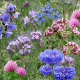 Kabloom Pollinator Power 4 Pack Gift Box