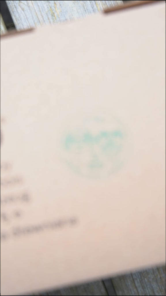 video showing how the bajo wooden catapult works