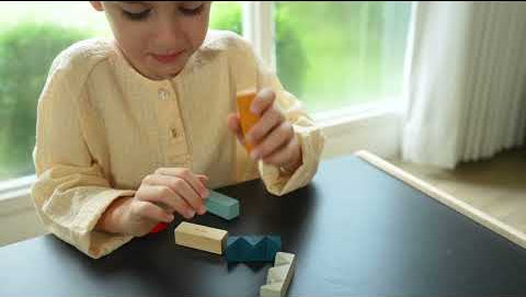 A video featuring the PlanToys Waldorf toy block puzzle.