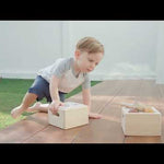 A video featuring the PlanToys Punch & Drop wooden toy. 