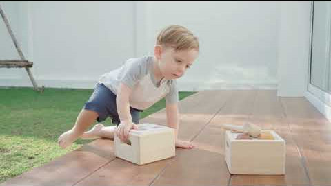 A video featuring the PlanToys Punch & Drop wooden toy. 